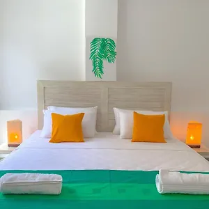 Auberge de jeunesse Vibe